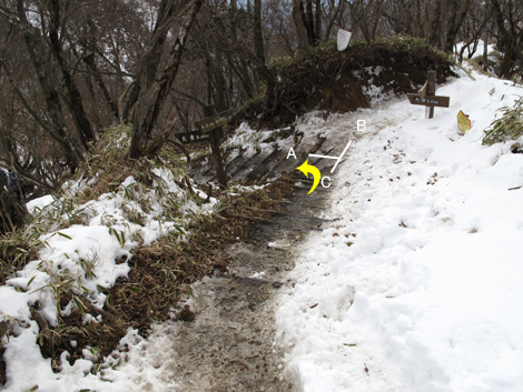 20170118hike (410)